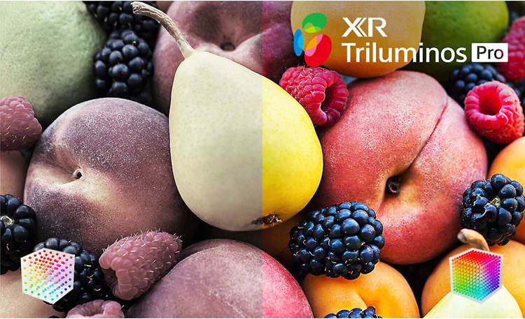 Sony BRAVIA XR98X90L X90L Smart LED 4K UHD TV with HDR (98